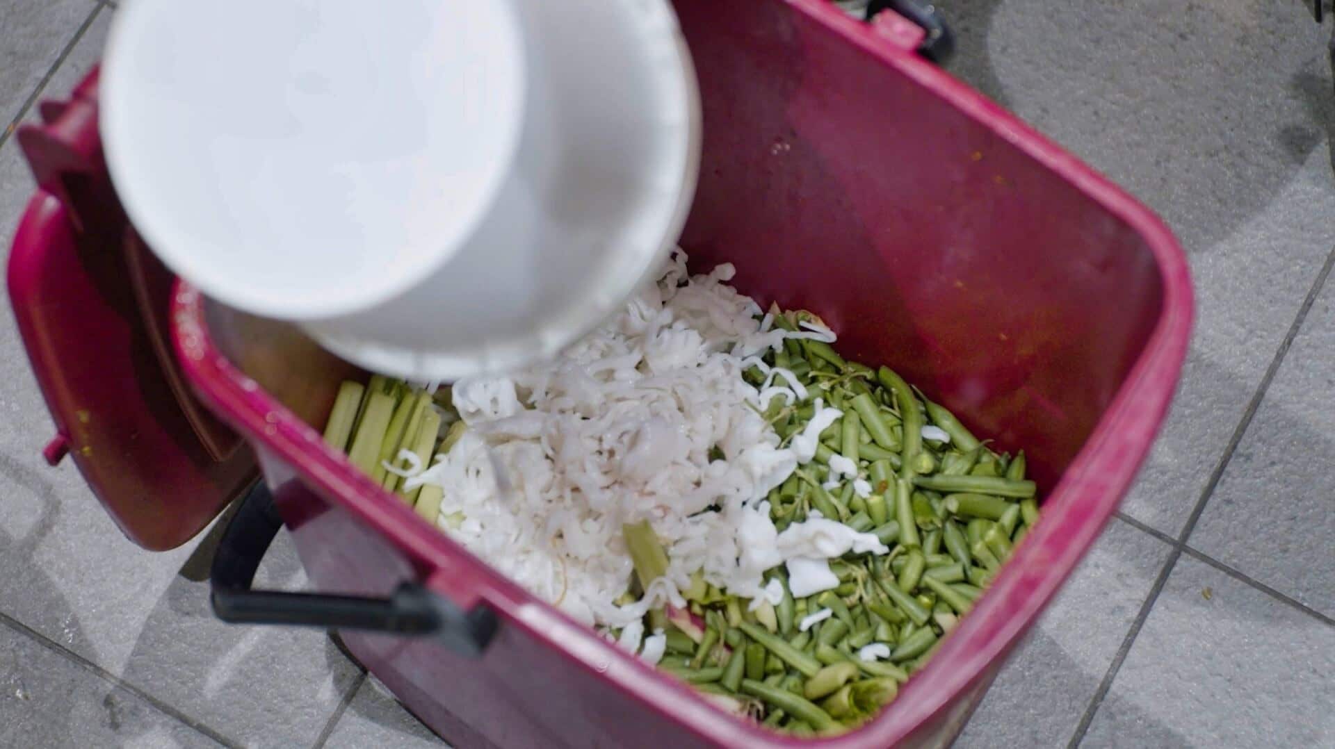 Food scraps ready for pulping